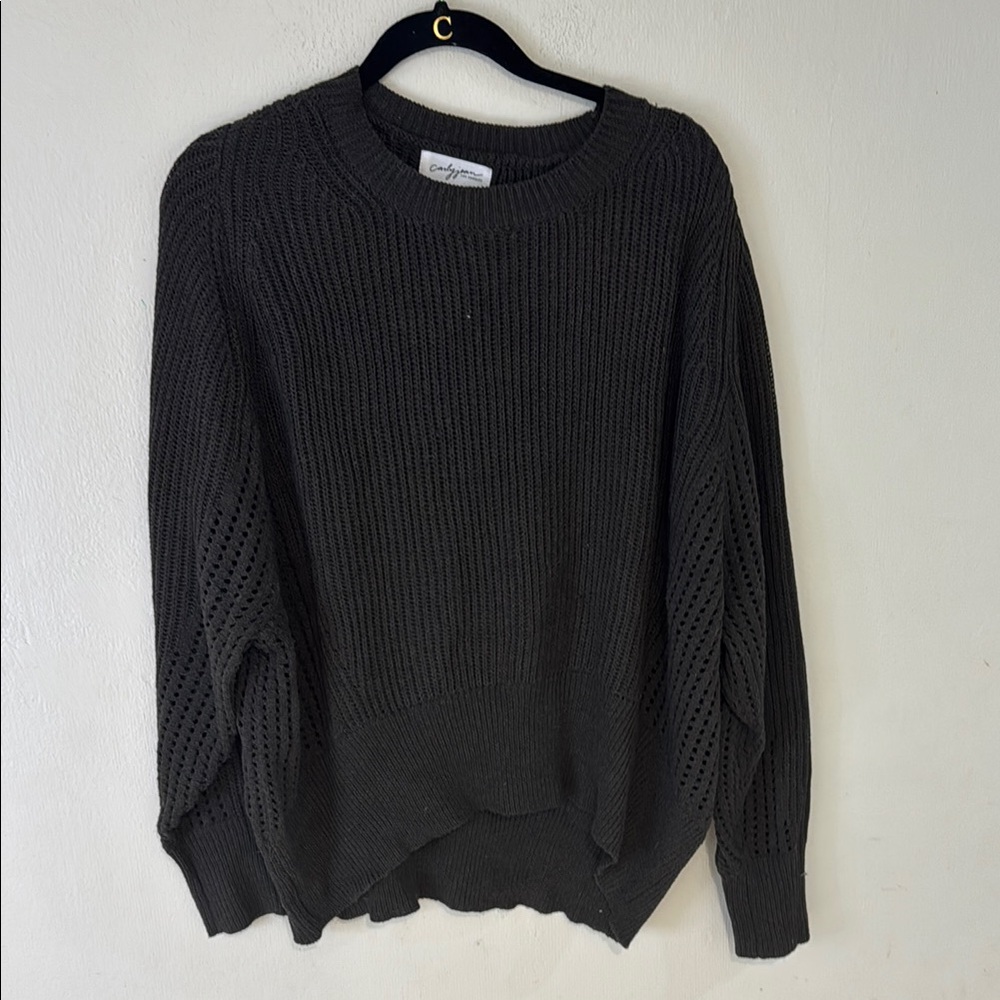 Carly Jean Los Angeles Brown Crewneck Sweater